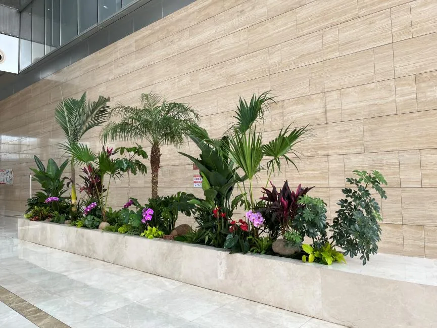 宁波杭州湾花卉租赁价格实惠